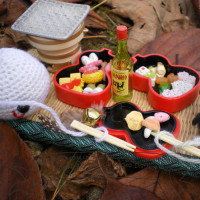 Mr. Humboldt and Johnny’s Mushroom Festival  フンボルトさんとジョニーのきのこ祭り